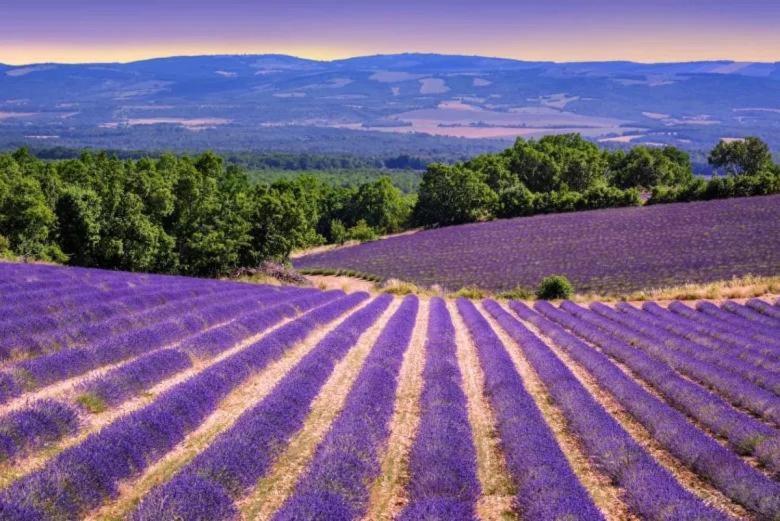 La Petite Maison Holiday home Cereste