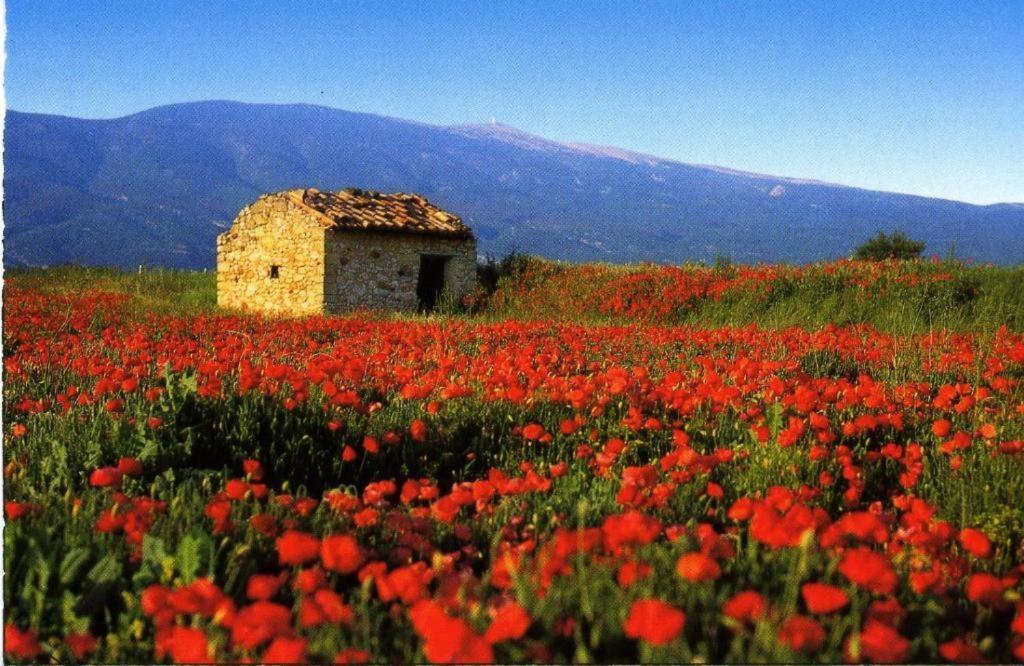 La Petite Maison